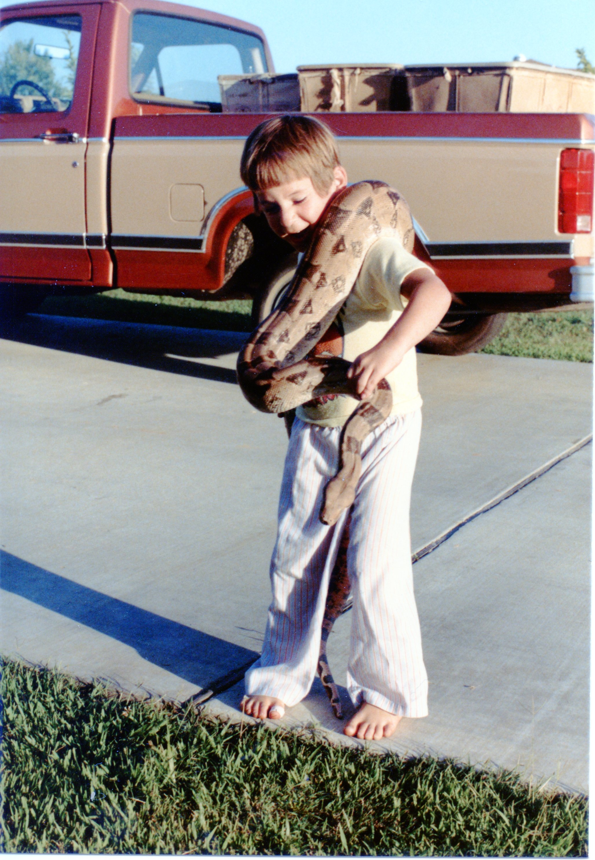 David at Daytona Beach